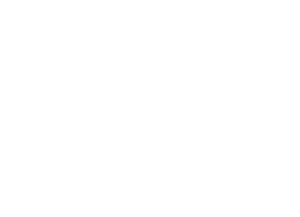 AriBis Logo whiteout